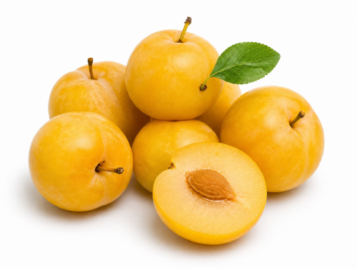 Prugne Susine Gialle