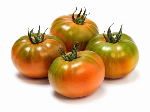 Pomodori Camoni