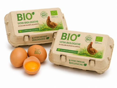 Uova Biologiche Confezione da 6