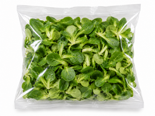 Insalata Valeriana (in busta)