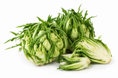 Puntarelle
