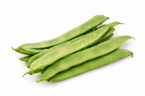 Piattoni