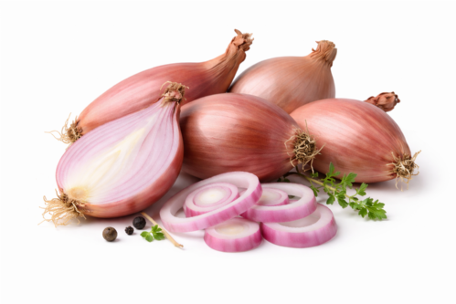 Scalogno
