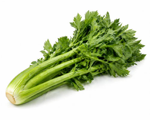 Sedano Verde