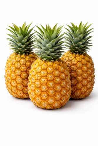 Ananas 1° Qualità
